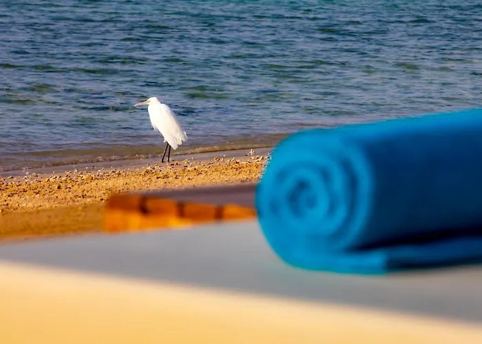 Ajira Sahl Hasheesh Üdülőközpont 4*